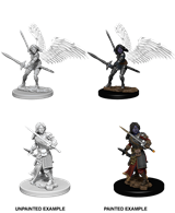 Wizkids - Aasimar Paladin (Female w/ Wings + Dual Wielding)