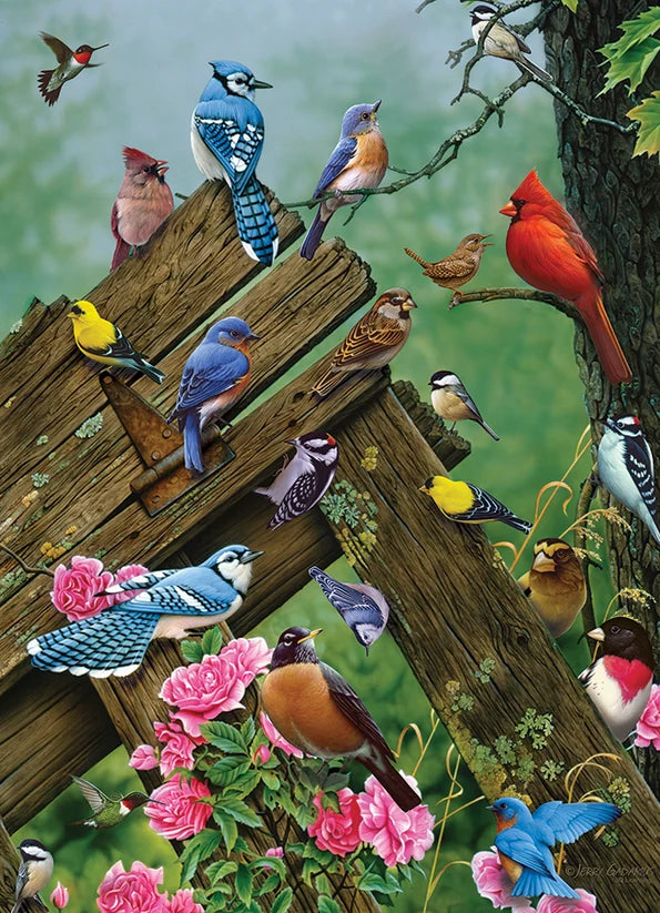 Birds of the Forest - 1000 Pieces