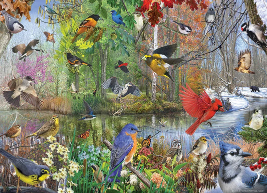 Birds of the Season - 1000 Pieces