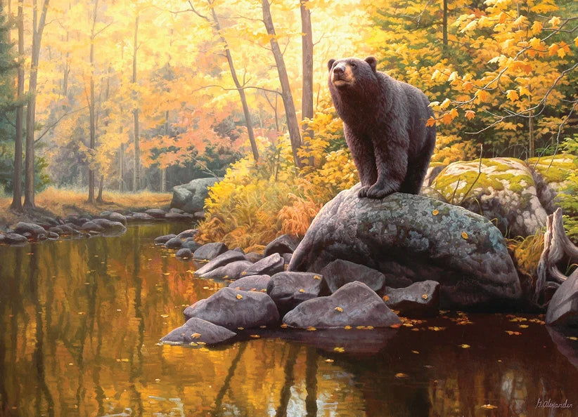 Black Bear Pond - 1000 Pieces