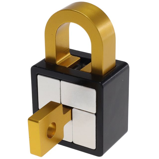 Crazy Lock Metal Puzzle - Difficulty Level 8/10