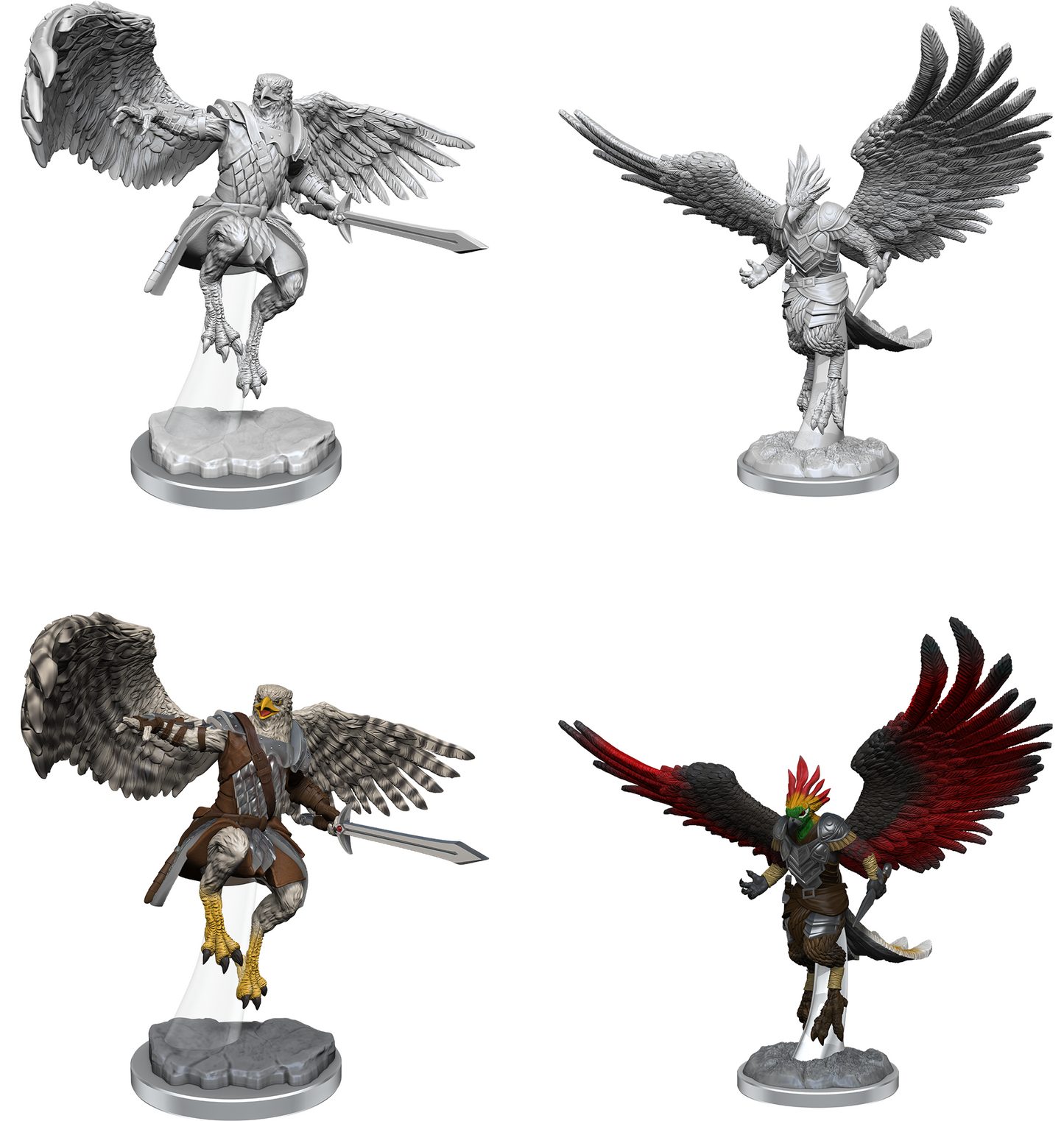 D&D - Aarakocra Paladins