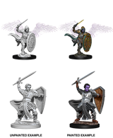 D&D - Aasimar Paladin