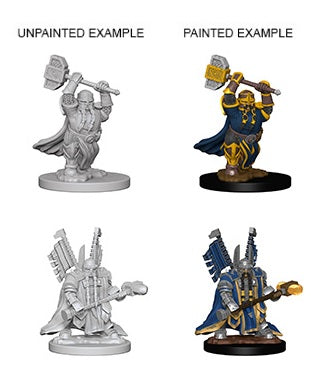 D&D - Dwarf Paladin (Male)