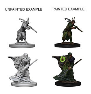 D&D - Elf Druid