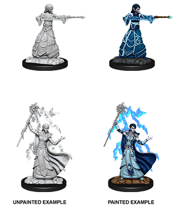 D&D - Elf Wizard (Female)
