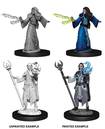 D&D - Elf Wizard
