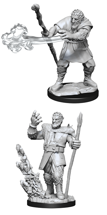 D&D - Firbolg Druid (Male)