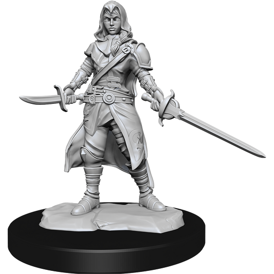 D&D - Half-Elf Rogue (Female)