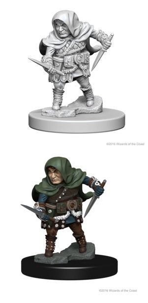 D&D - Halfling Rogue (Male)