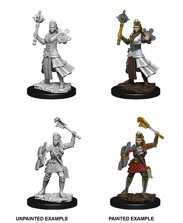 D&D - Human Cleric