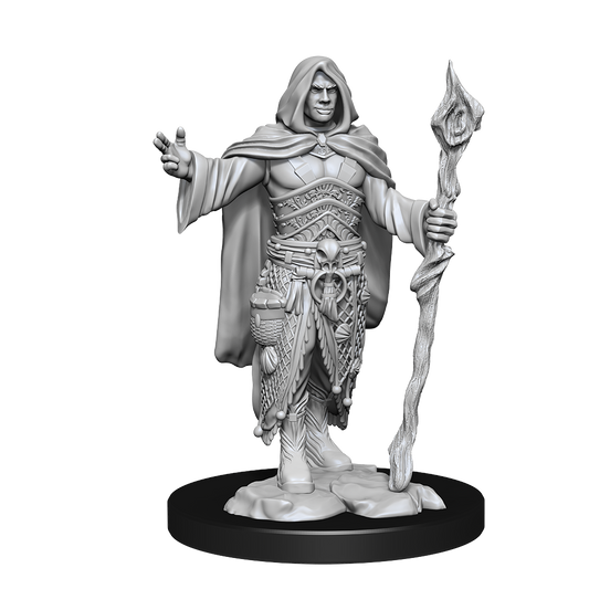 D&D - Human Druid (Male)