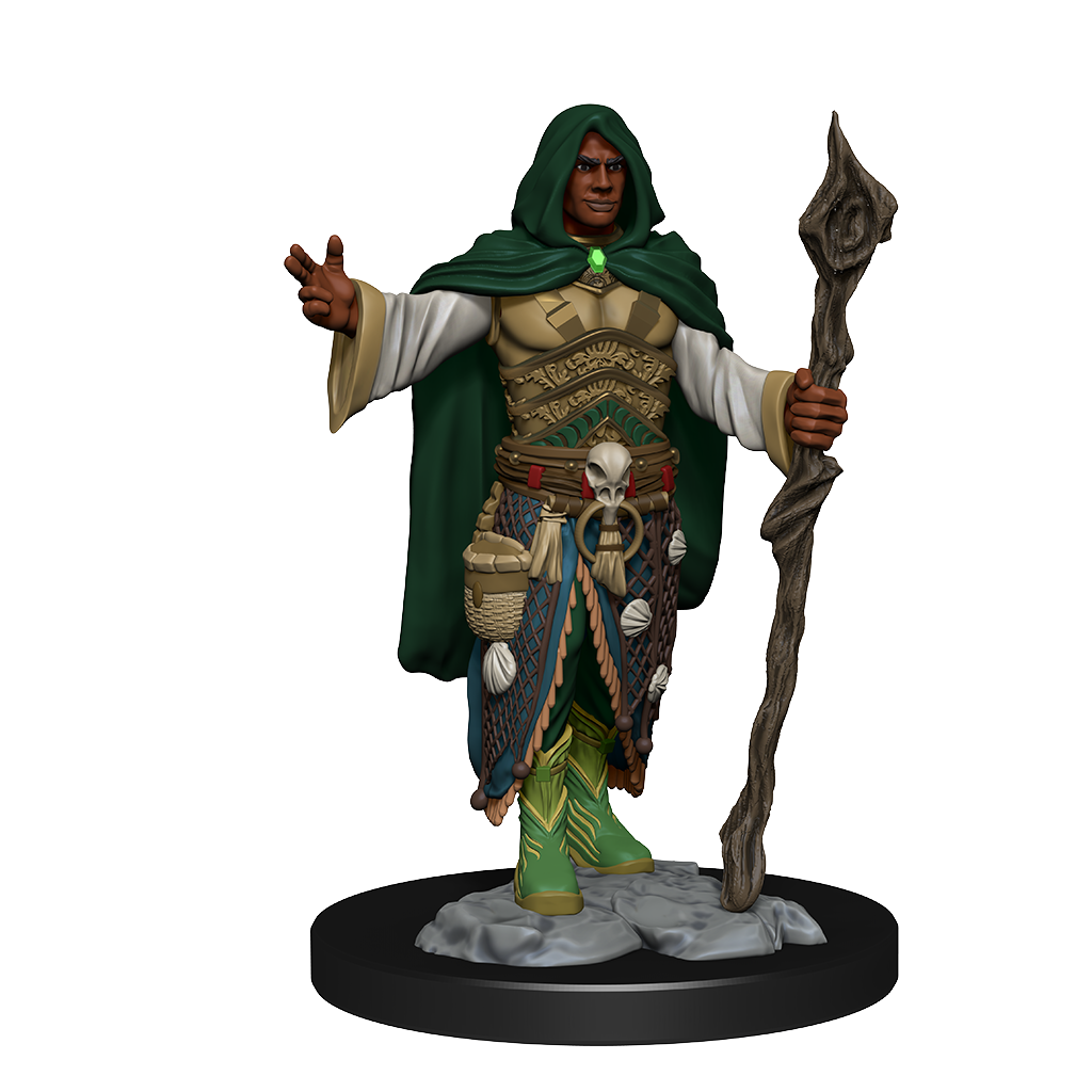 D&D - Human Druid (Male)