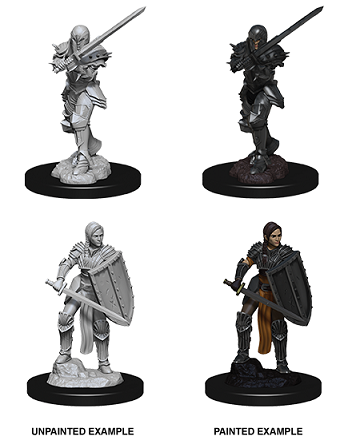 D&D - Human Fighter