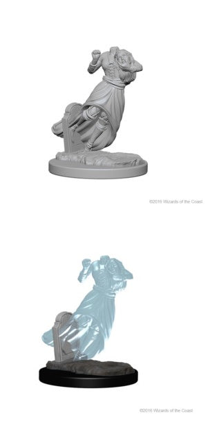 D&D - Ghost & Banshee