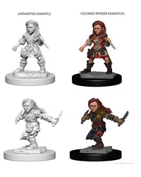 Wizkids - Halfling Rogue (Female)