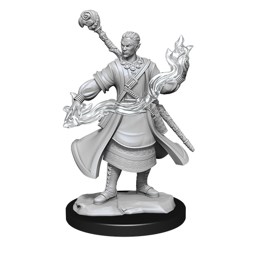 Wizkids - Half-Elf Wizard (Male)