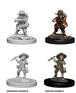 Pathfinder - Halfling Rogue (Male)