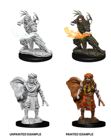 D&D - Human Druid (Male)