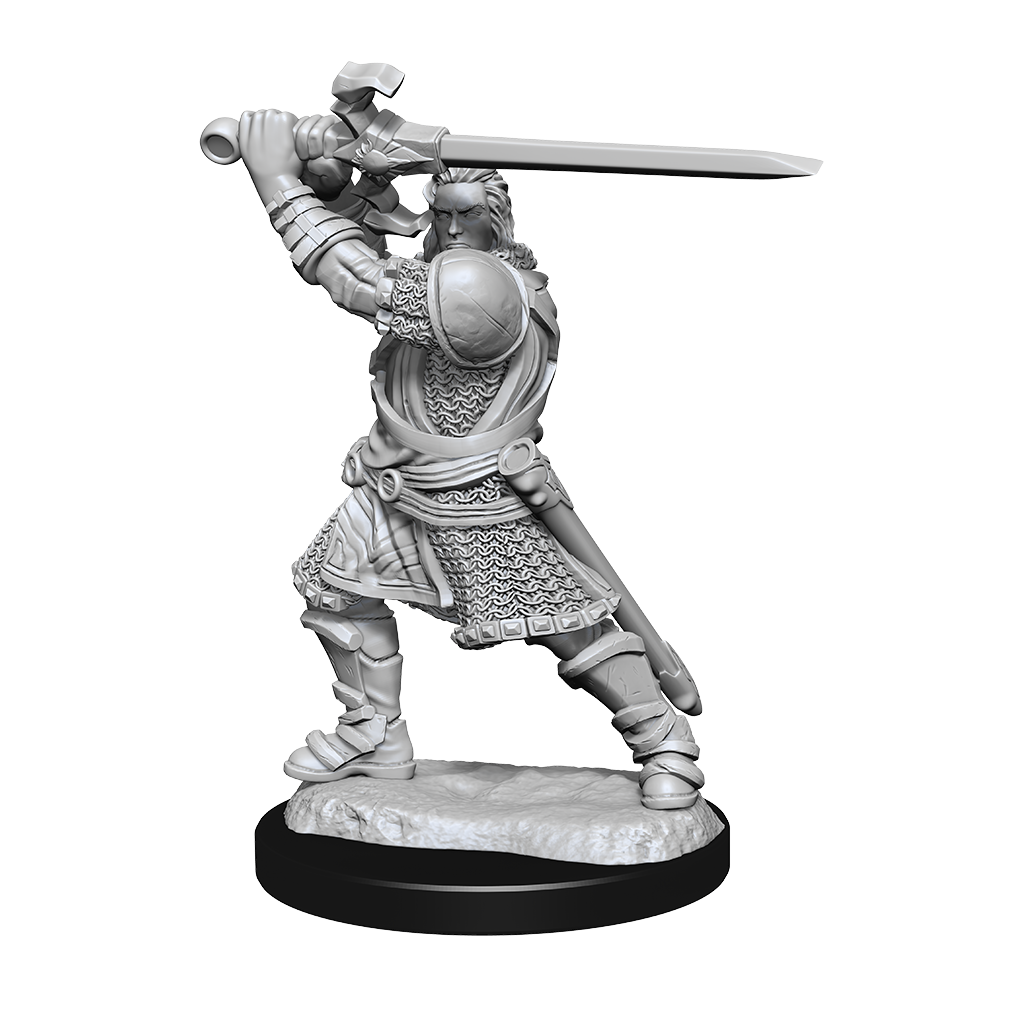 Wizkids - Human Paladin (Male)