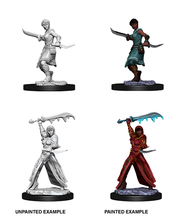 Wizkids - Human Rogue (Female)