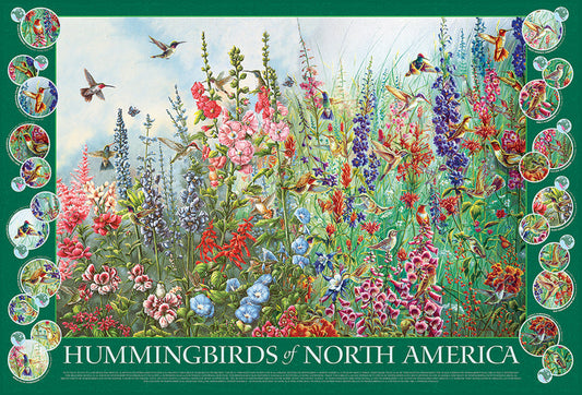 Hummingbirds of North America - 2000 Pieces