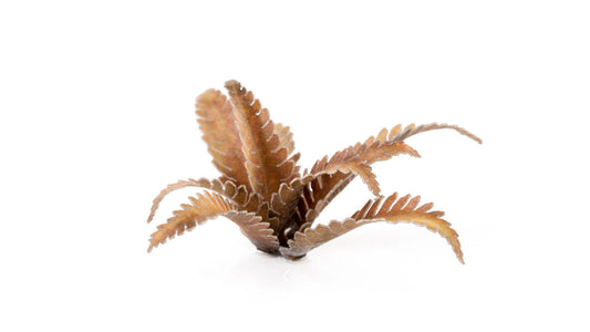 Laser Plant - Deer Fern