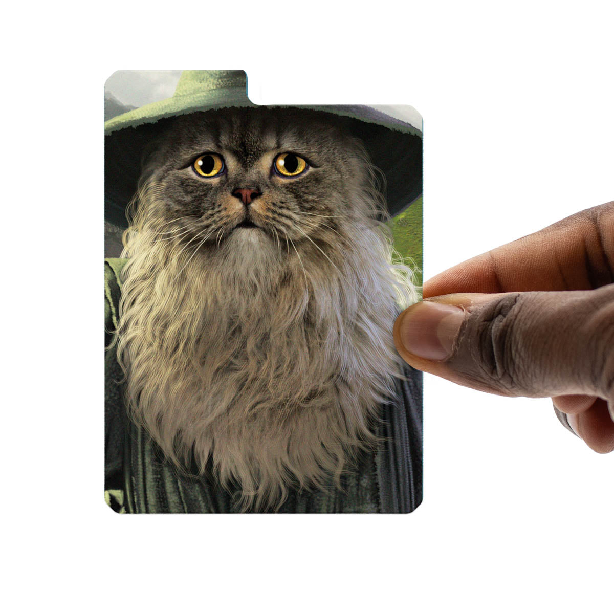 Deck Box: Legion Movie Cats - Catdalf (100ct)
