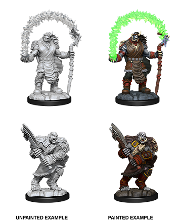 Wizkids - Orc Adventurers (Male)