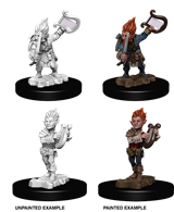 Pathfinder - Gnome Bard (Male)