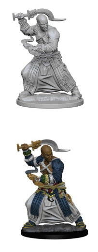 Pathfinder - Human Monk (Male)