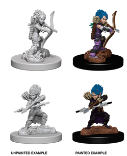 Pathfinder - Gnome Rogue (Female)