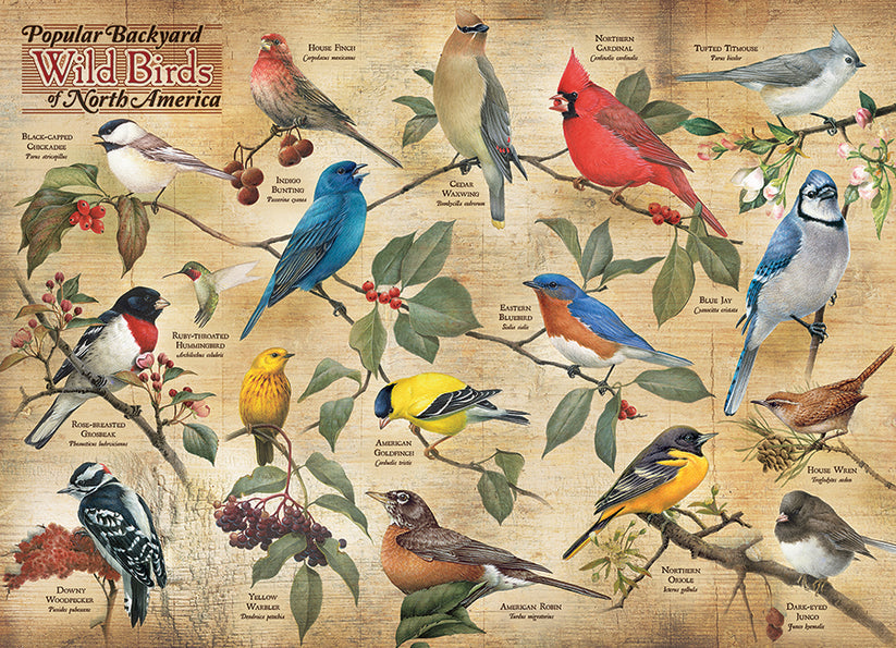 Popular Backyard Birds of North America - 1000 Pieces