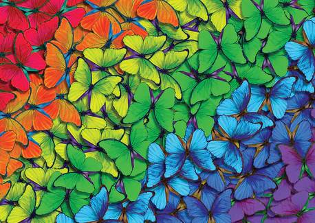 Rainbow Butterflies - 1000 Pieces