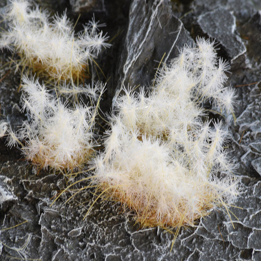 XL Tufts - Spikey Winter