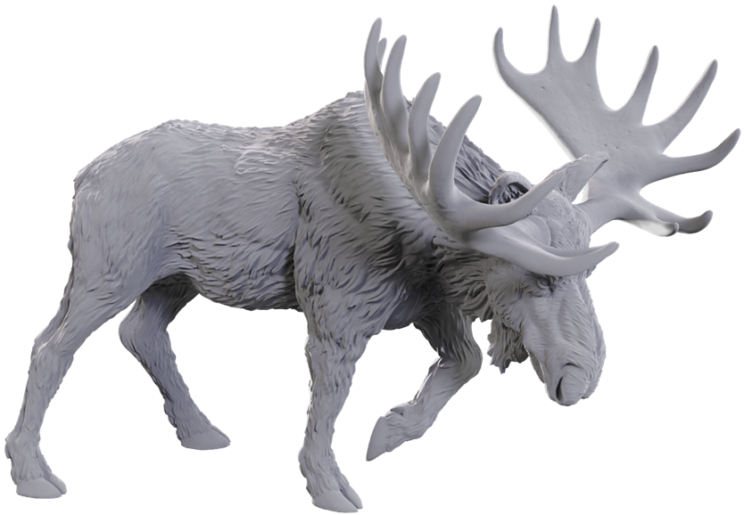 WIzkids - Bull Moose
