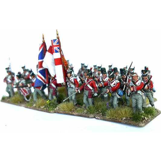 Waterloo British Infantry Centre Companies