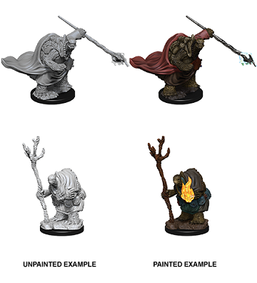 D&D - Tortle Adventurers