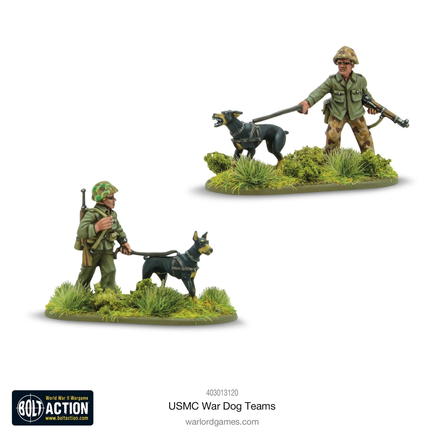USMC War Dogs Team