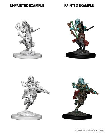 Wizkids - Air Genasi Rogue (Female)