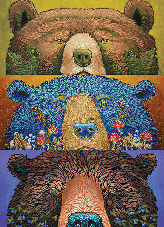 Bear Eyes: Harvest - 500 Pieces