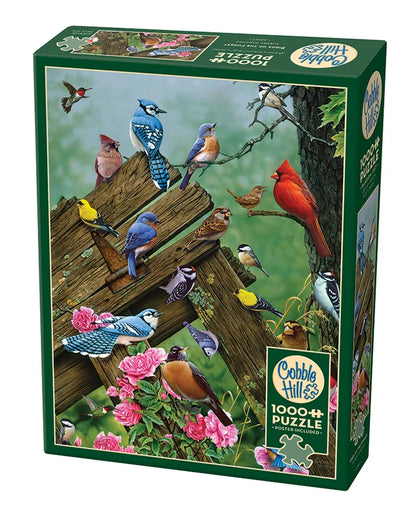 Birds of the Forest - 1000 Pieces