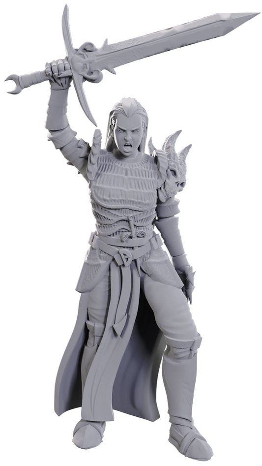 Wizkids - Blackguard
