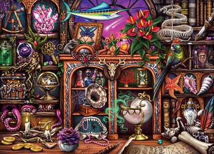 Cabinets of Curiousity - 500 Pieces