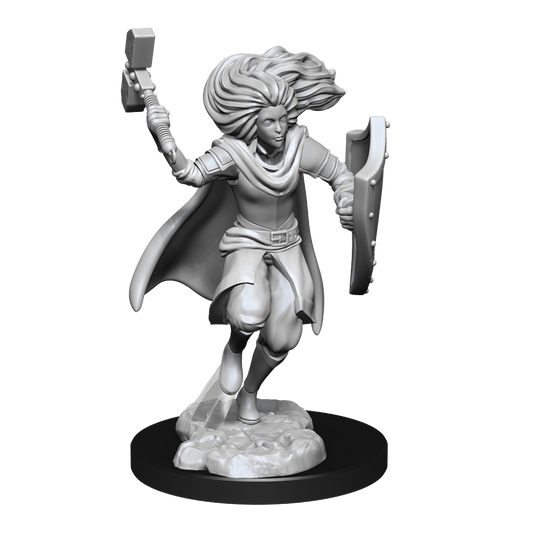 Wizkids - Changeling Cleric (Female)