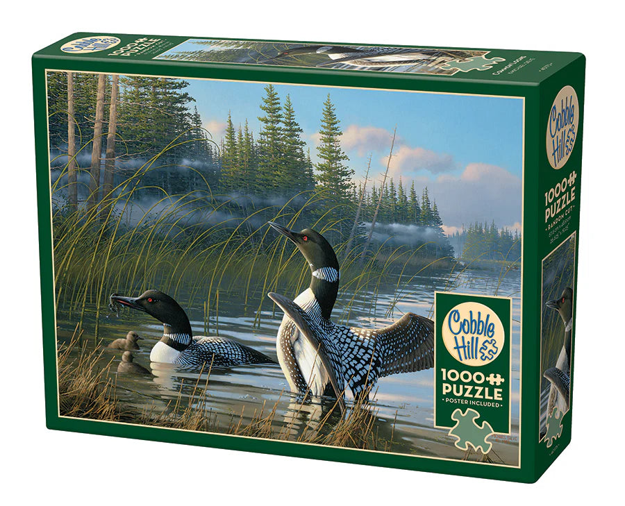 Common Loons - 1000 Pieces