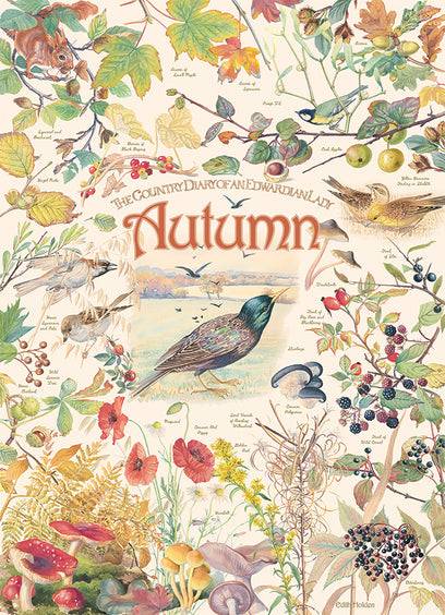 Country Diary: Autumn - 1000 Pieces