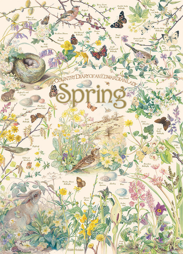 Country Diary: Spring - 1000 Pieces