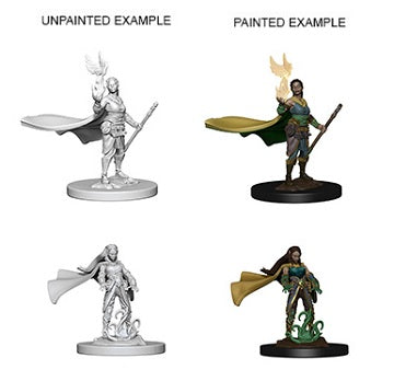 D&D - Elf Druid
