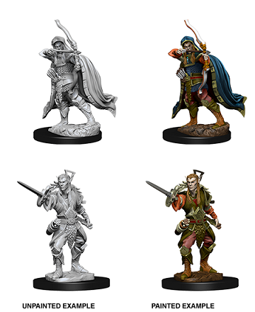 D&D - Elf Rogue (Male)